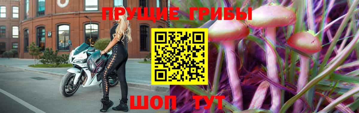 Псилоцибиновые грибы GOLDEN TEACHER Курчалой