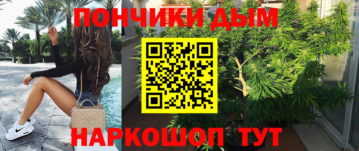 Канабис сатива  Бошки Шишки индика  Курчалой  Вход с VPN  Бошки марихуана марихуана  Конопля VHQ 